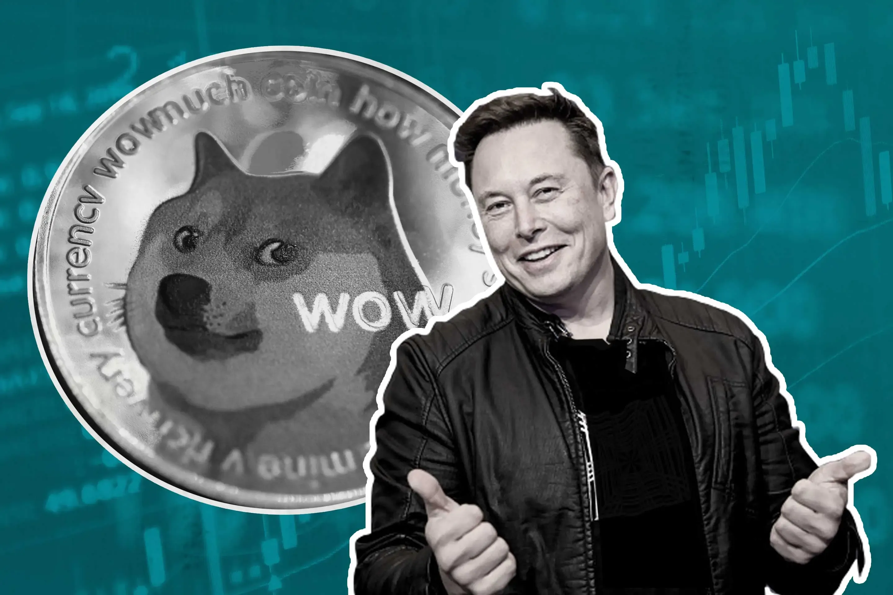 Dogecoin (DOGE) and elon musk