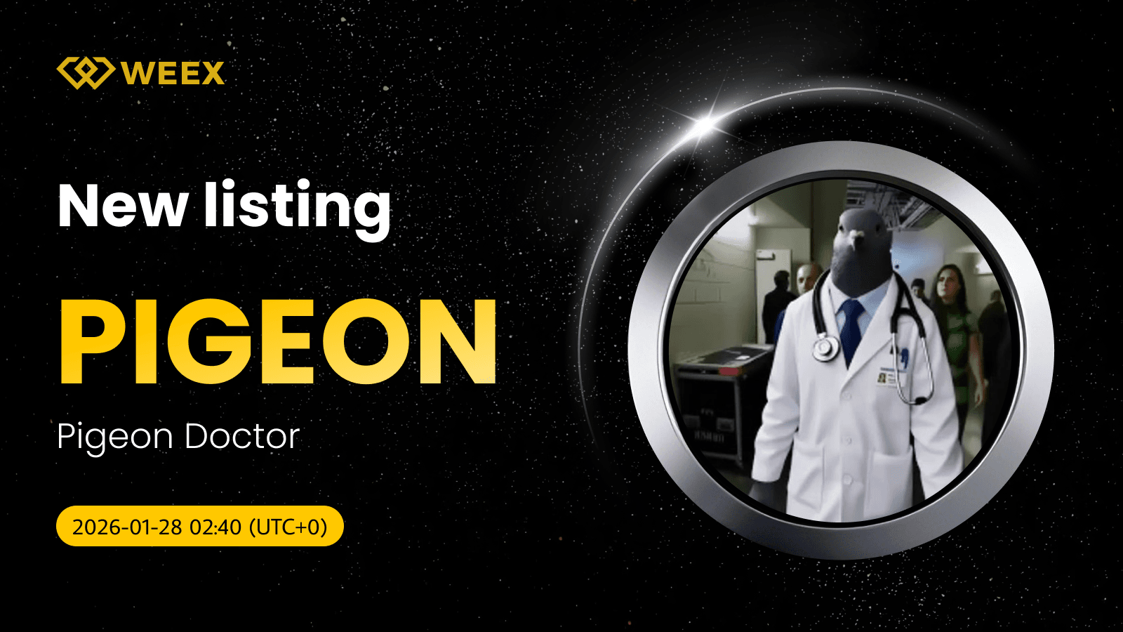 Pigeon Doctor (PIGEON) Coin Lists on WEEX with PIGEON USDT Spot Pair